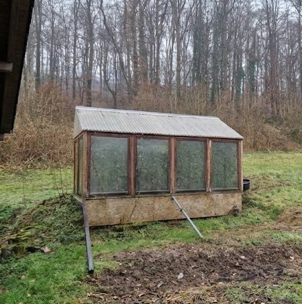 Gewächshaus - Vorher